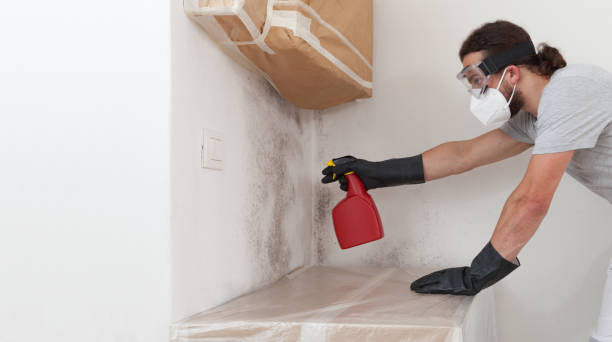Professional Bathroom Mold Removal technician working in Wylie, TX