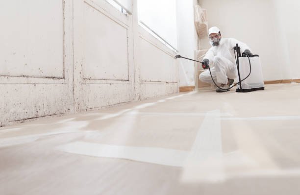 24/7 Emergency Bathroom Mold Removal experts in Wylie, TX